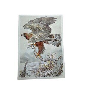 Vintage Russian Illustrated Golden Eagle Non Topographical Standard Postcard